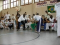 cb43d3c136.jpg