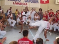 22e114aa89.jpg