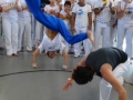 DSC01093.jpg