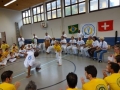 1800294_621391394636324_1484567215331196863_n.jpg